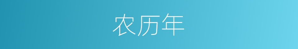 农历年的同义词