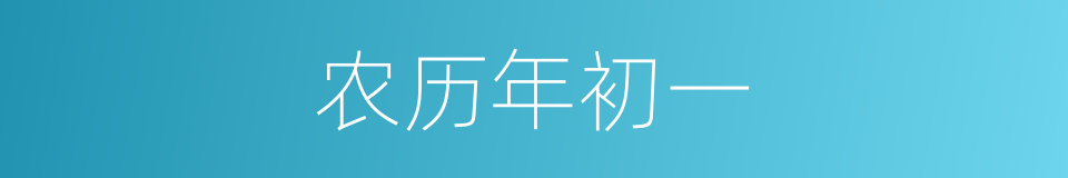 农历年初一的同义词