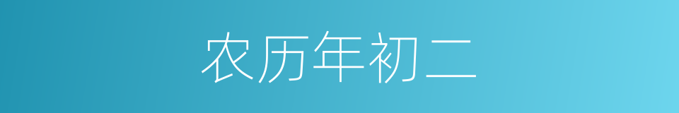 农历年初二的同义词