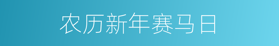 农历新年赛马日的同义词