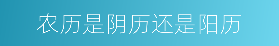 农历是阴历还是阳历的同义词