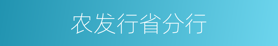 农发行省分行的同义词