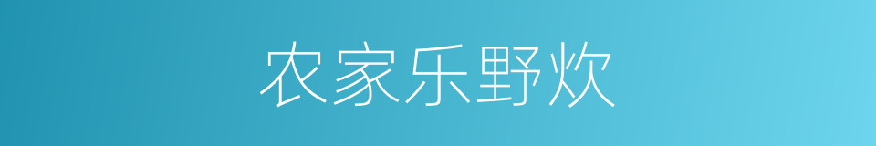 农家乐野炊的同义词