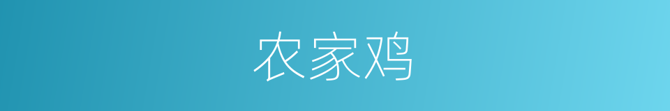 农家鸡的同义词