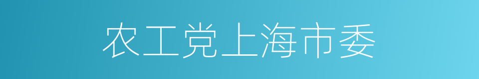 农工党上海市委的同义词