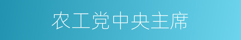 农工党中央主席的同义词