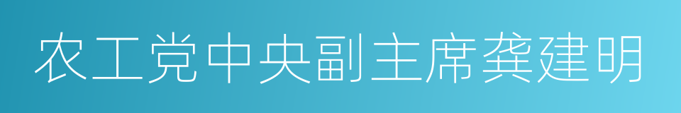 农工党中央副主席龚建明的同义词