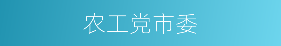 农工党市委的同义词
