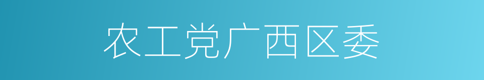 农工党广西区委的同义词