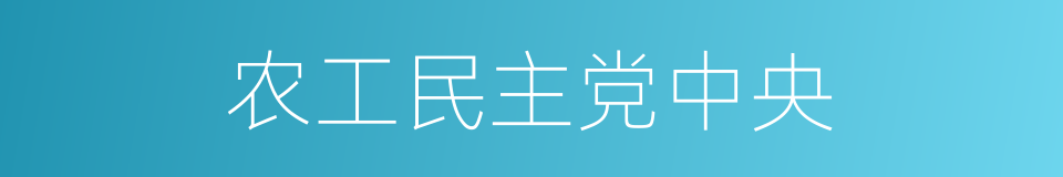 农工民主党中央的同义词