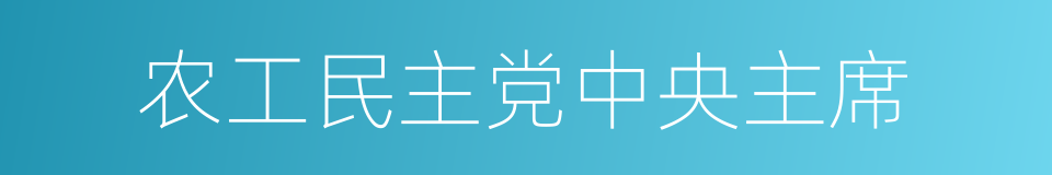 农工民主党中央主席的同义词