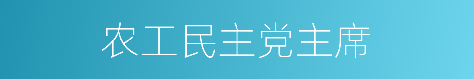 农工民主党主席的同义词