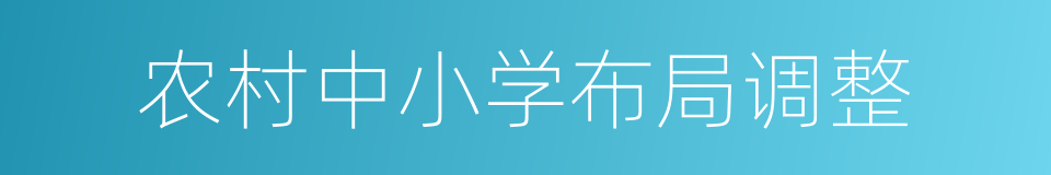 农村中小学布局调整的同义词