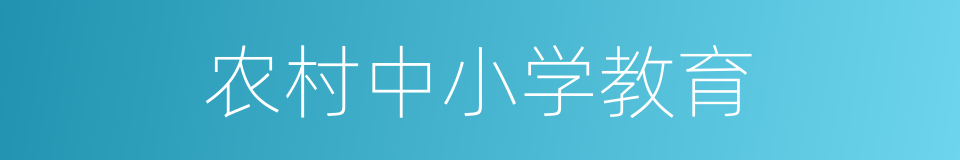 农村中小学教育的同义词