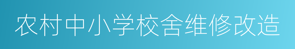 农村中小学校舍维修改造的同义词