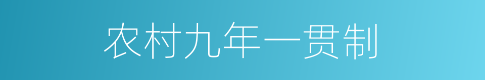 农村九年一贯制的同义词