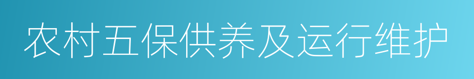 农村五保供养及运行维护的同义词