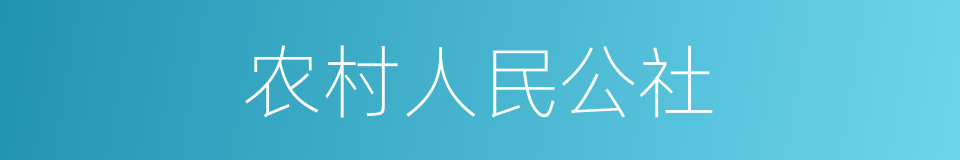 农村人民公社的意思