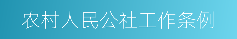 农村人民公社工作条例的同义词