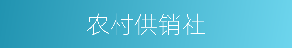 农村供销社的同义词