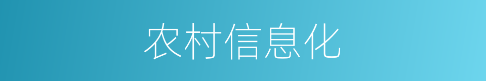 农村信息化的同义词