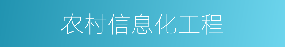 农村信息化工程的同义词