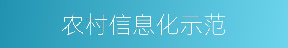 农村信息化示范的同义词