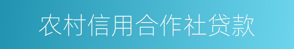 农村信用合作社贷款的同义词