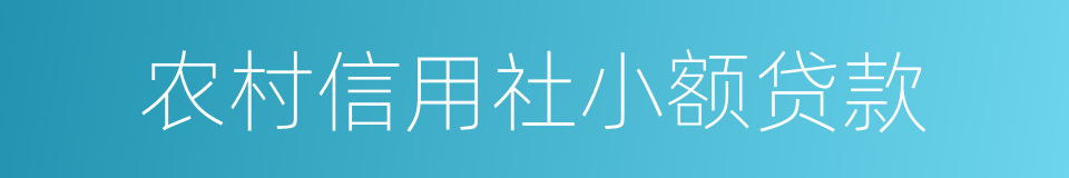 农村信用社小额贷款的同义词