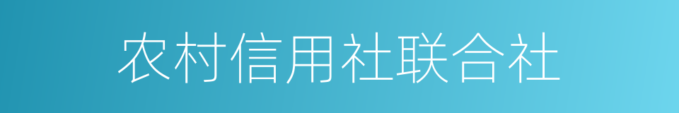 农村信用社联合社的同义词