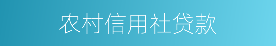 农村信用社贷款的同义词