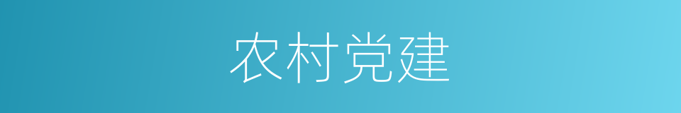 农村党建的同义词