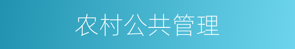 农村公共管理的同义词