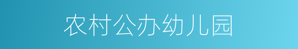 农村公办幼儿园的同义词