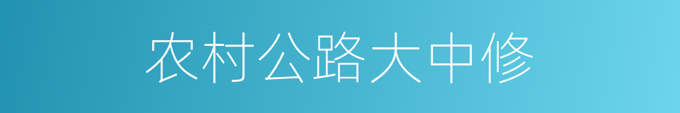 农村公路大中修的同义词