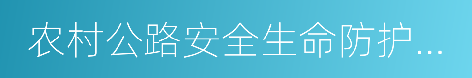 农村公路安全生命防护工程的同义词