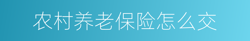 农村养老保险怎么交的同义词