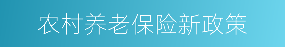 农村养老保险新政策的意思