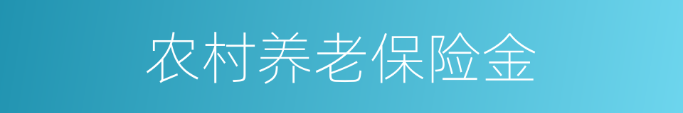 农村养老保险金的同义词