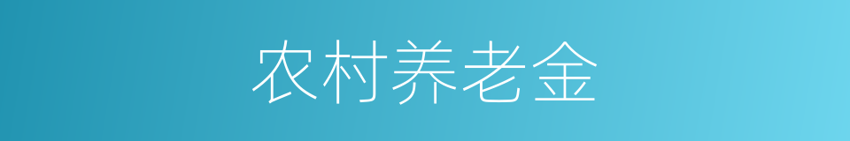 农村养老金的同义词