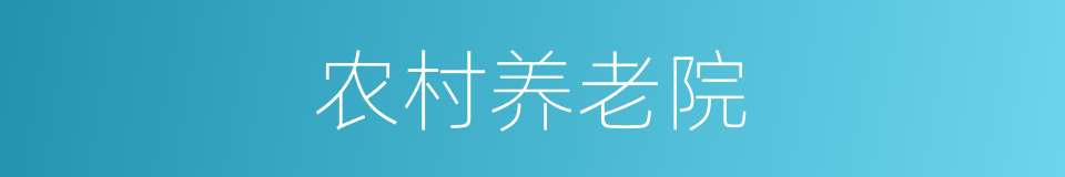 农村养老院的同义词