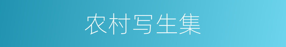 农村写生集的同义词