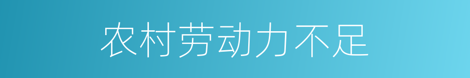 农村劳动力不足的同义词