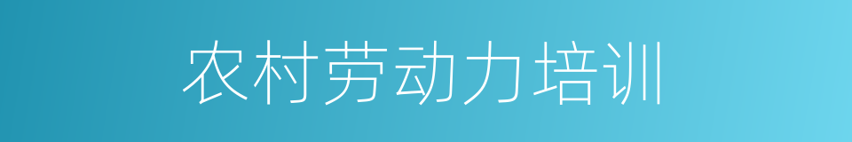 农村劳动力培训的同义词