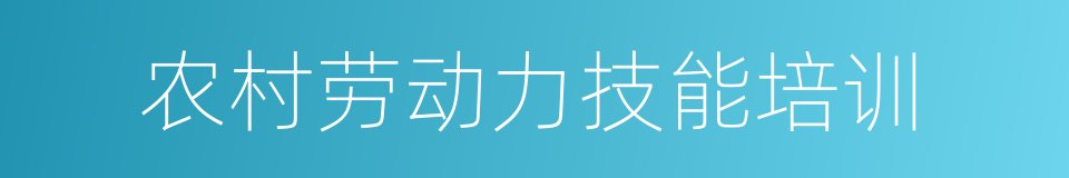 农村劳动力技能培训的同义词