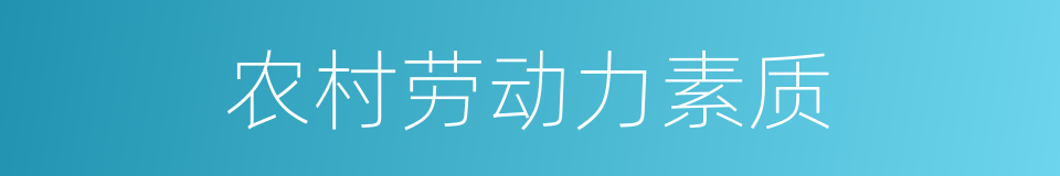 农村劳动力素质的同义词