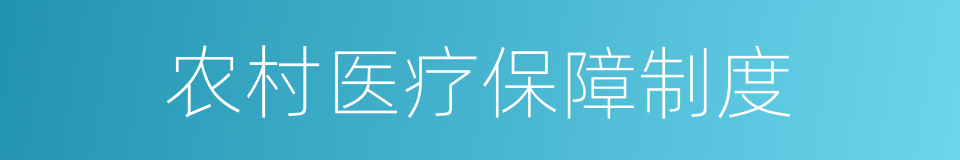 农村医疗保障制度的同义词