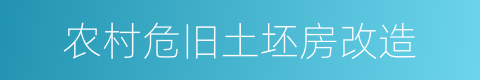 农村危旧土坯房改造的同义词