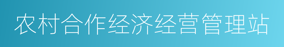 农村合作经济经营管理站的同义词