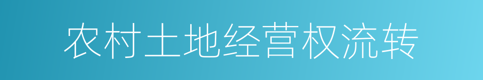 农村土地经营权流转的同义词